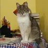Отзыв от Ева Чернова